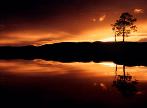 Golden hour reflections