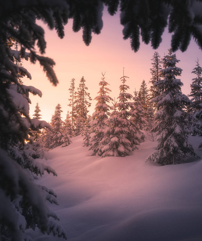 Spying on the winter by streamweb Spying on the winter by streamweb