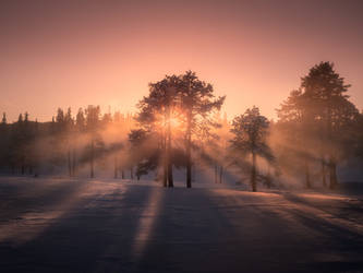 Sunset through the mist