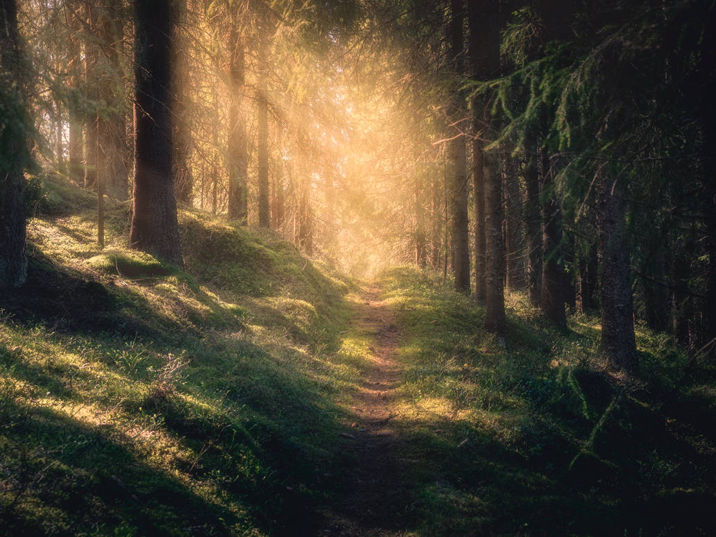 The path of light by streamweb The path of light by streamweb