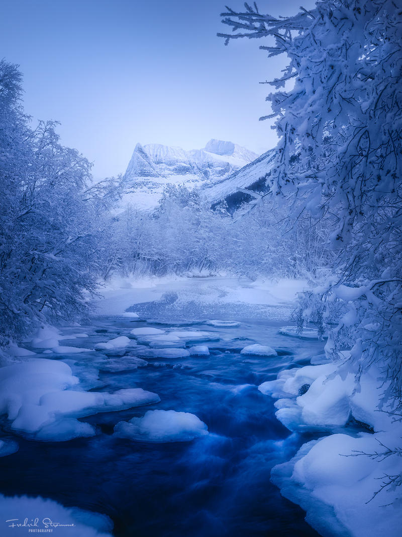 Frozen wonderland by streamweb on DeviantArt