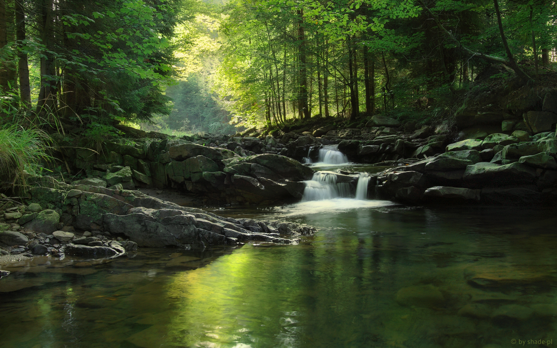 Green Stream by shade-pl