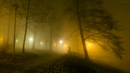 Misty night