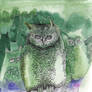 green owl