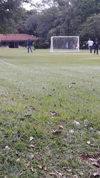 soccer  field