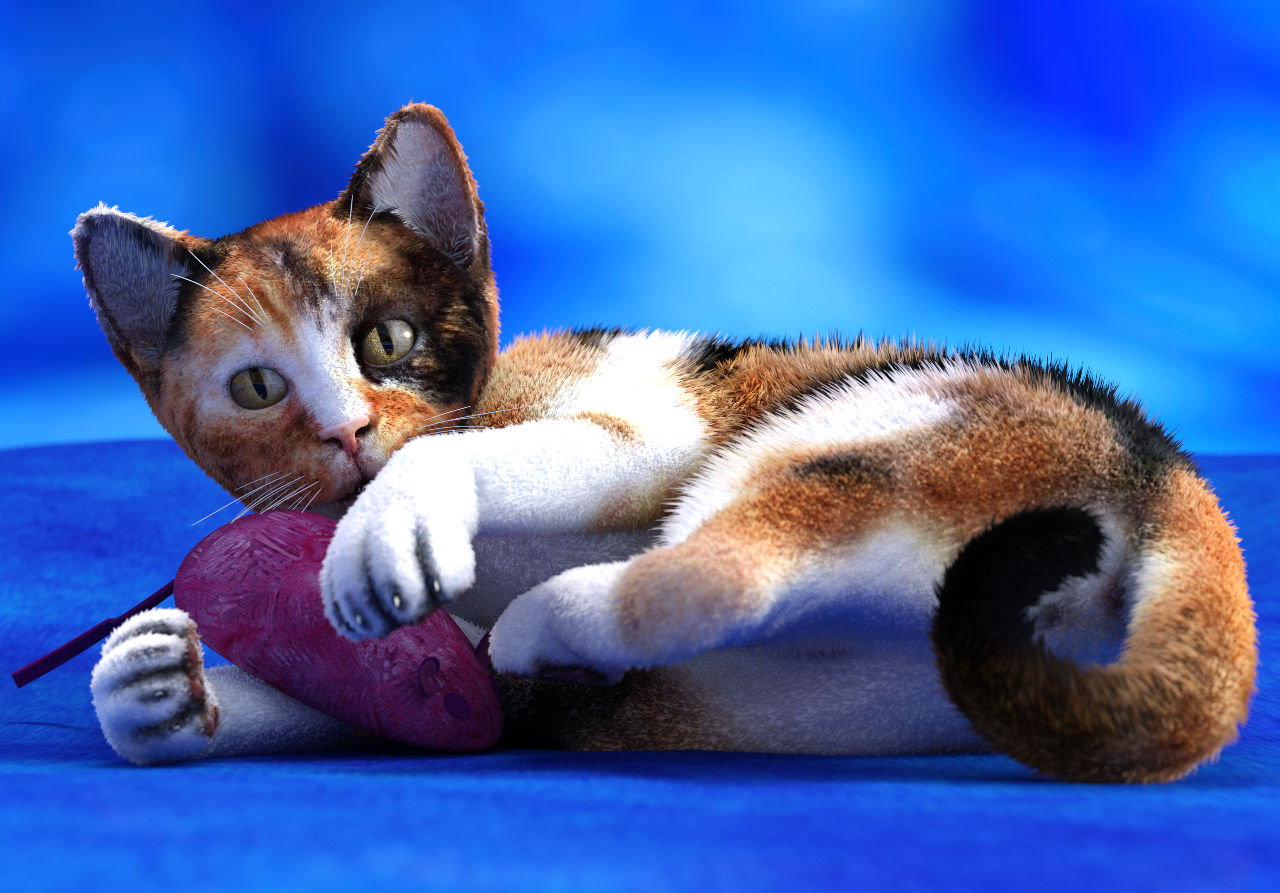Random Portrait: Kitten!!!