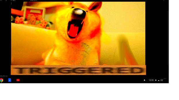 DOGE TRIGGERED