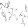 Pegasus Foals