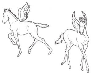 Pegasus Foals