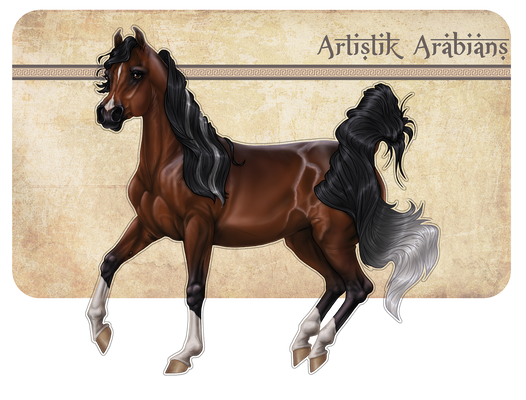 AA* Keira Al Shaqab+++//***