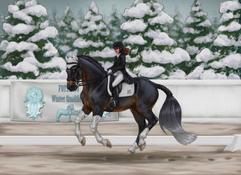 FOYS 2019 Winter Qualifier - Dressage