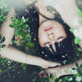 Daydream