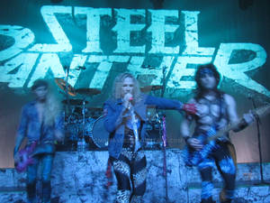 Steel Panther