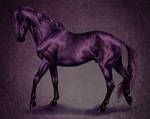 Purple Pony by Twilight-Veil