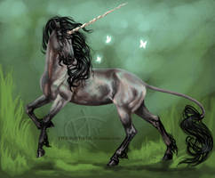 Gray Unicorn