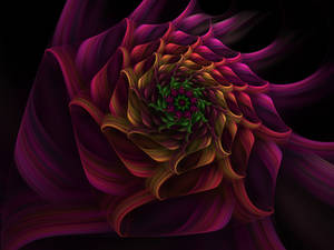 Spiral Flower 4