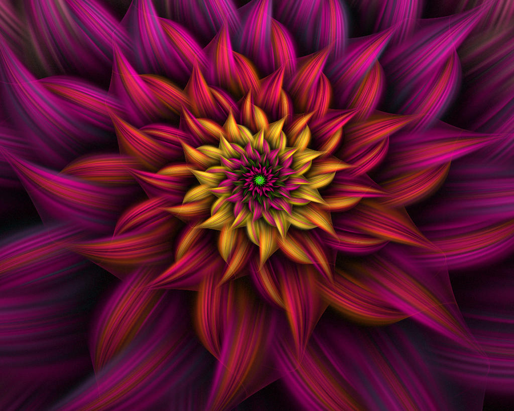 Spiral Flower 9