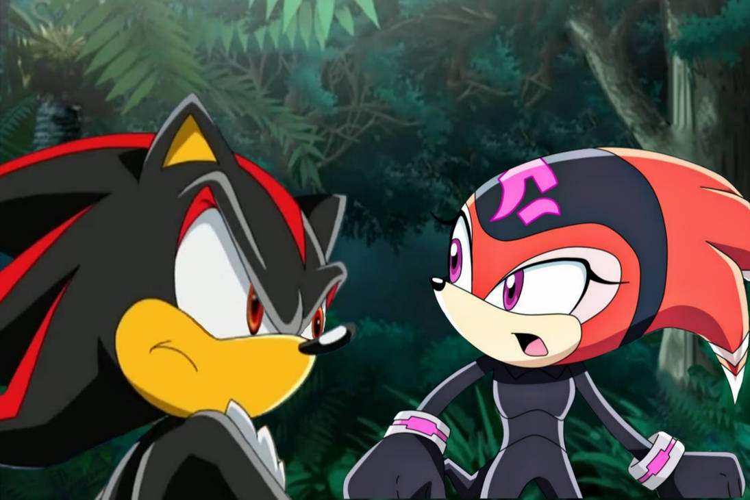 Shadow Shade Shadow and Shade do teamwork together by Ry13008 on DeviantArt