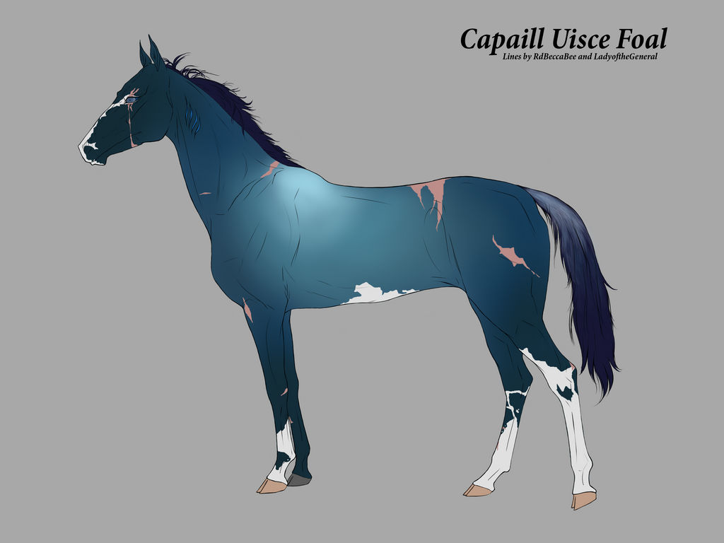 A017 Anguta design by CicerosStables on DeviantArt