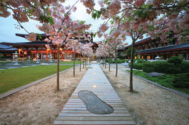 Buddhist Temple Garden