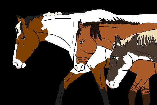 Horse adopts 2