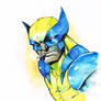 WATERcolor WOLVIE