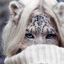 Snow Leopard