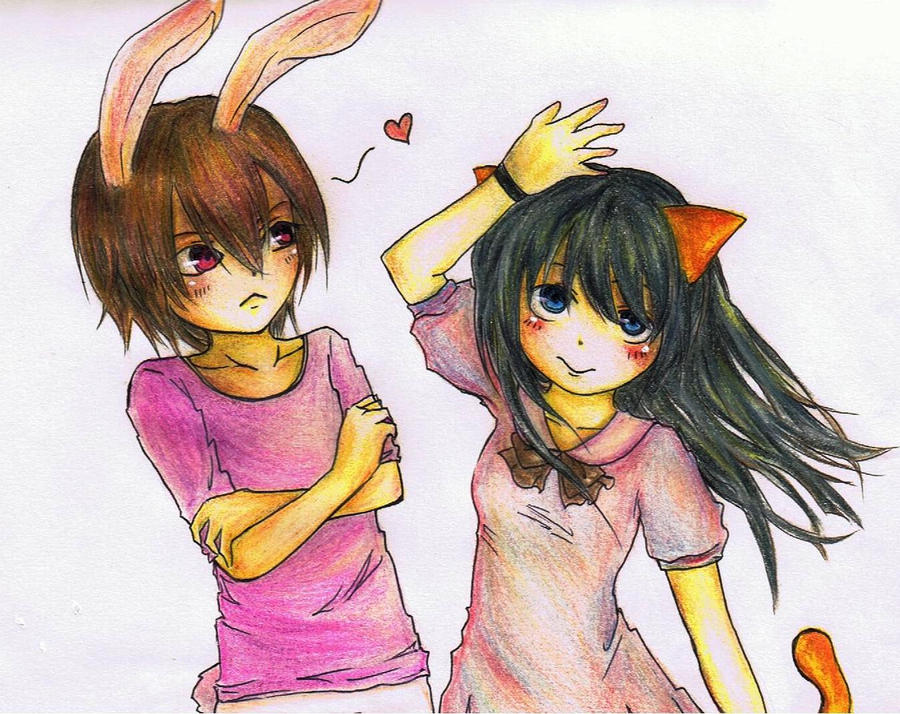 Rabbit and Cat 2