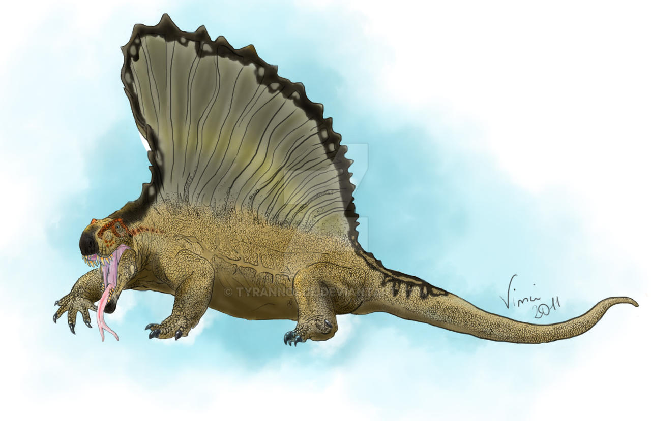 Dimetrodon