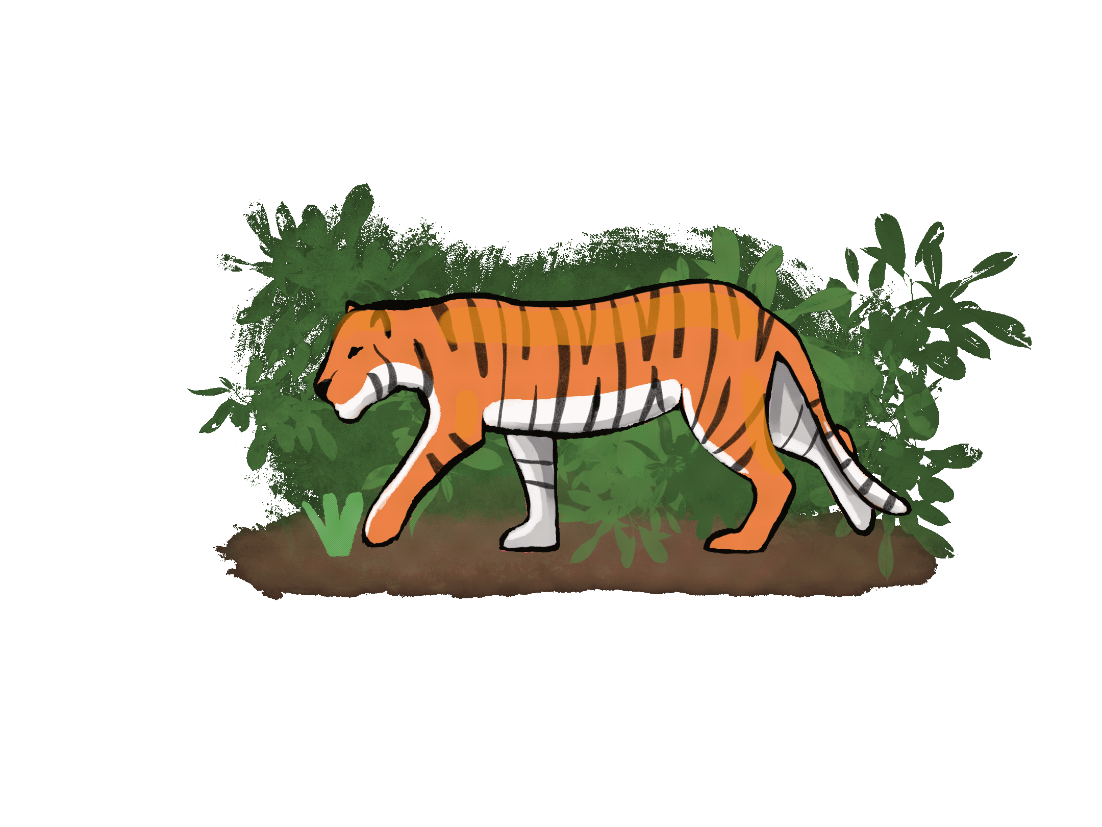 Tiger Walk Cycle Animation by ArttbyKaitlyn on DeviantArt