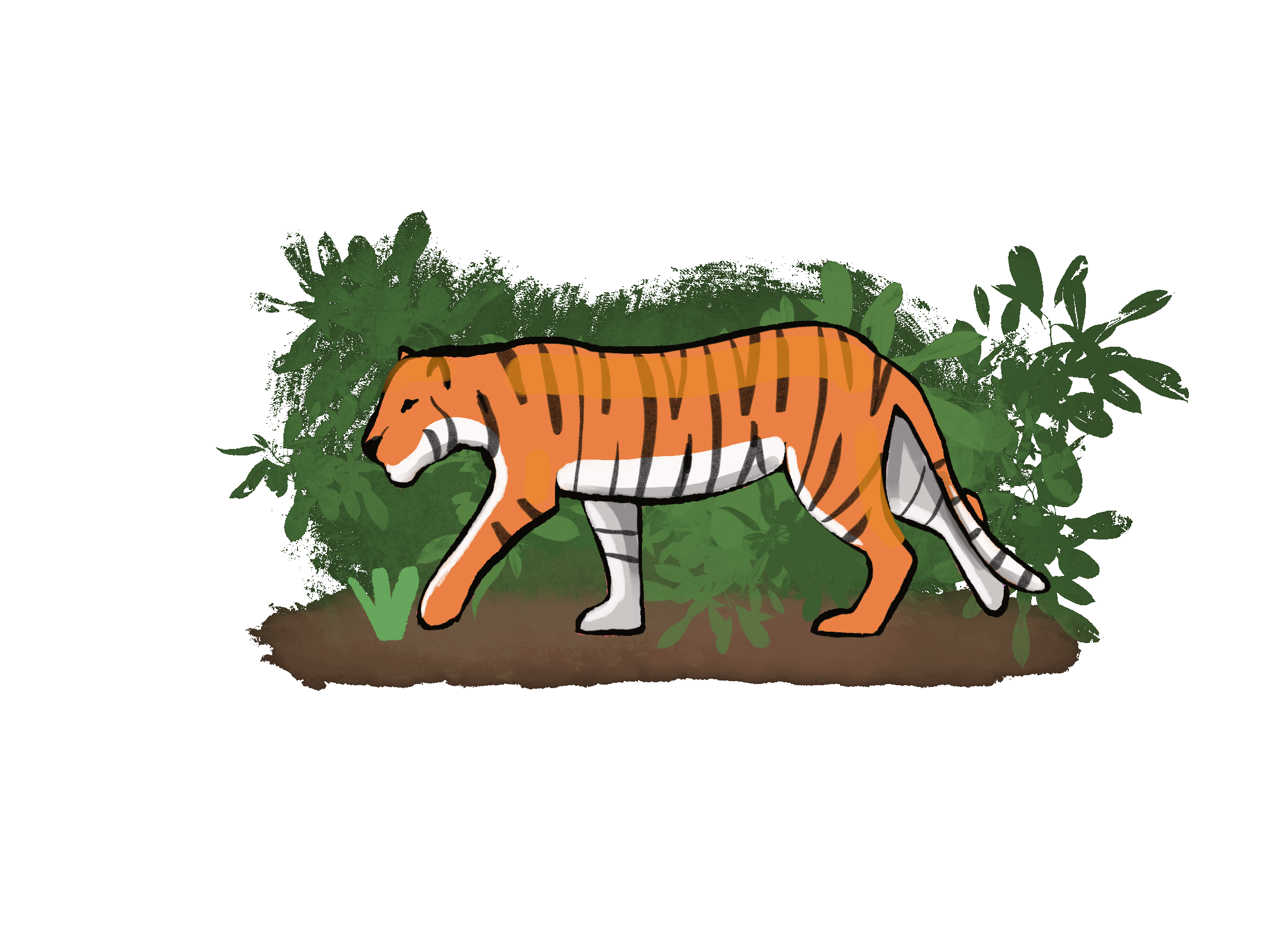 Tiger Walk Cycle Animation by ArttbyKaitlyn on DeviantArt Tiger Walk Cycle Animation by ArttbyKaitlyn on DeviantArt