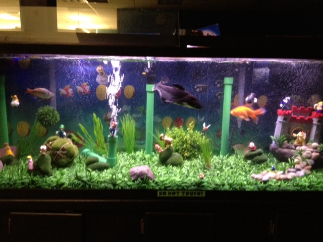 Mario fish tank (6)