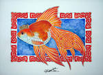 Queen Goldfish by Musyupick