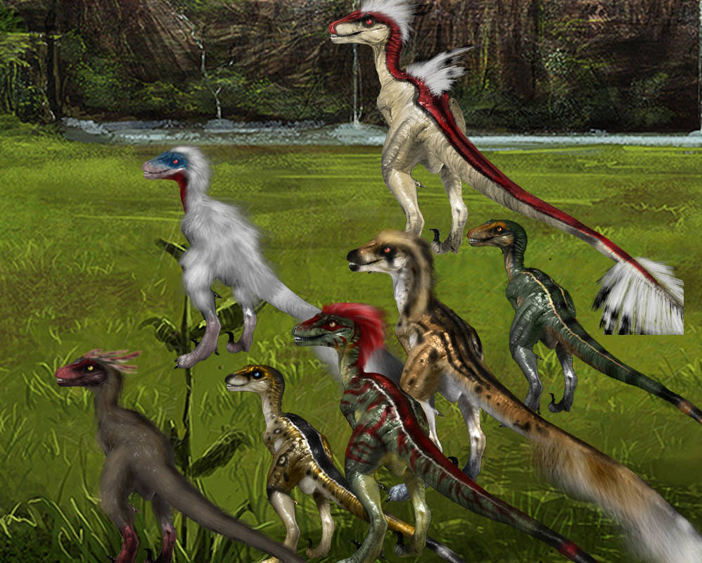 Raptor Montage by Spikeheila on DeviantArt