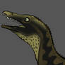 Qianosuchus