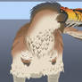 Tyrannus