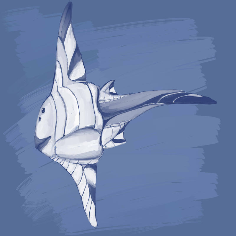 Wrath Fish Wrath1 by Spikeheila on DeviantArt
