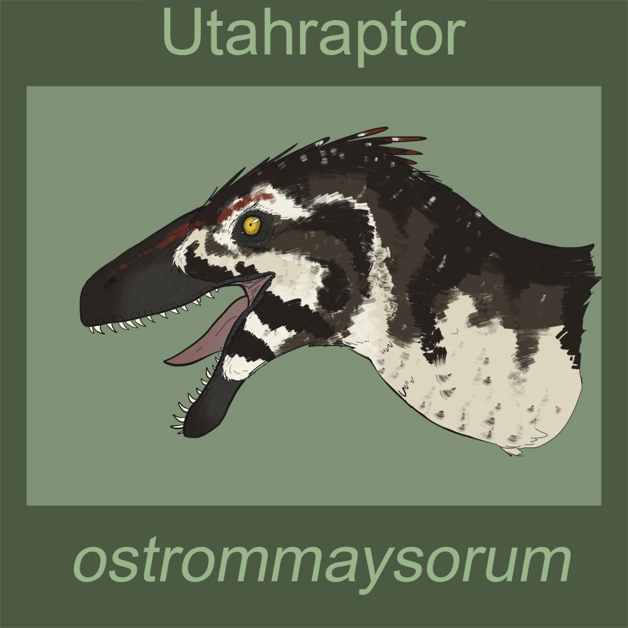 Utaraptor Utahraptor ostrommaysorum by Spikeheila on DeviantArt