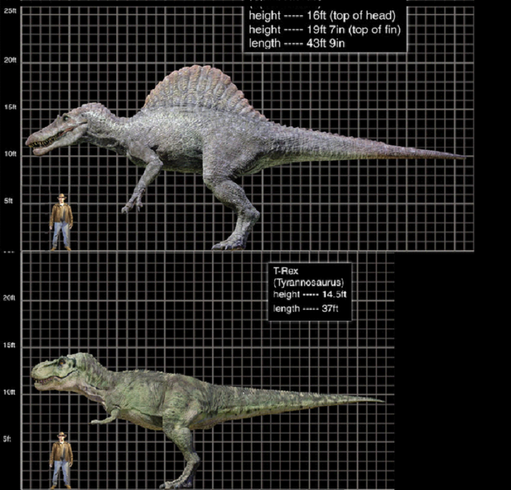 Spinosaurus vs Indominus Rex Death Battle by SilverTrunks06 on DeviantArt