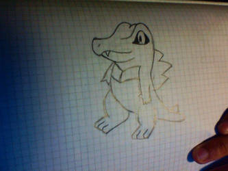 Totodile