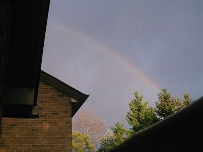 Rainbows~!