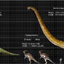 JP Dinosaur Size Chart pt-2