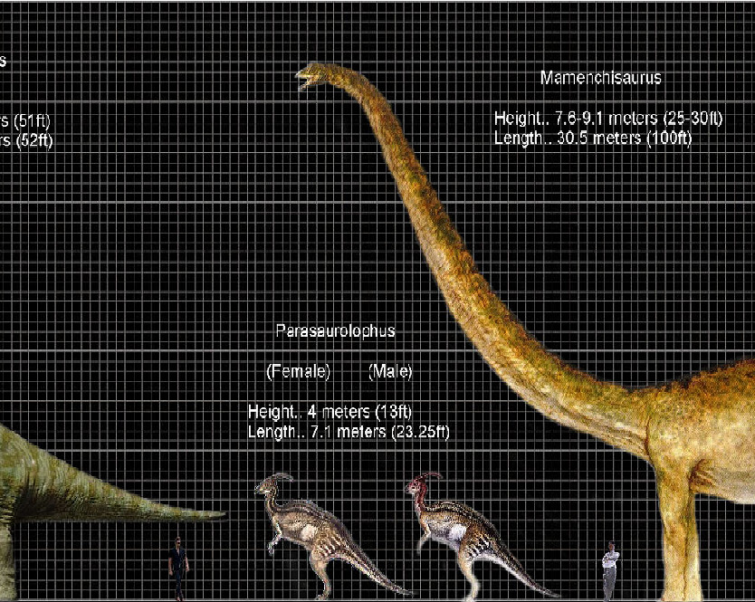JP Dinosaur Size Chart pt-2 by PonchoFirewalker01 on ...