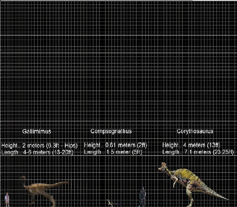 JP Dinosaur Size Chart pt-9