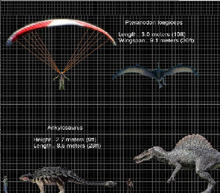 JP Dinosaur Size Chart pt10 by PonchoFirewalker01 on DeviantArt