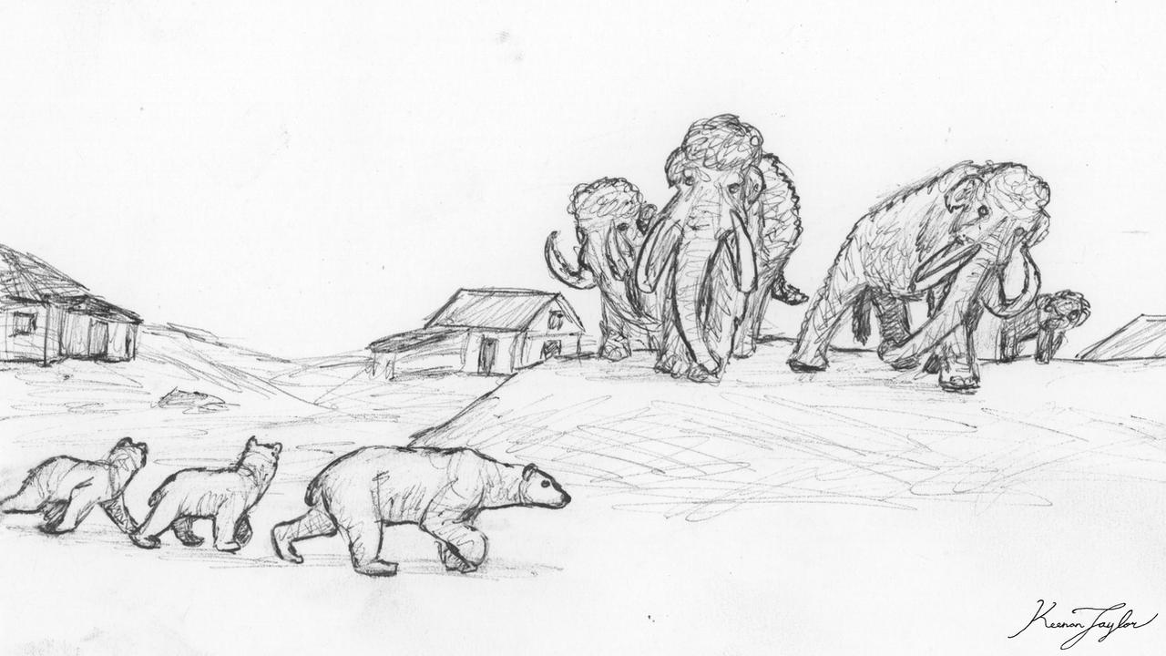 Polar Bear by PonchoFirewalker01 on DeviantArt