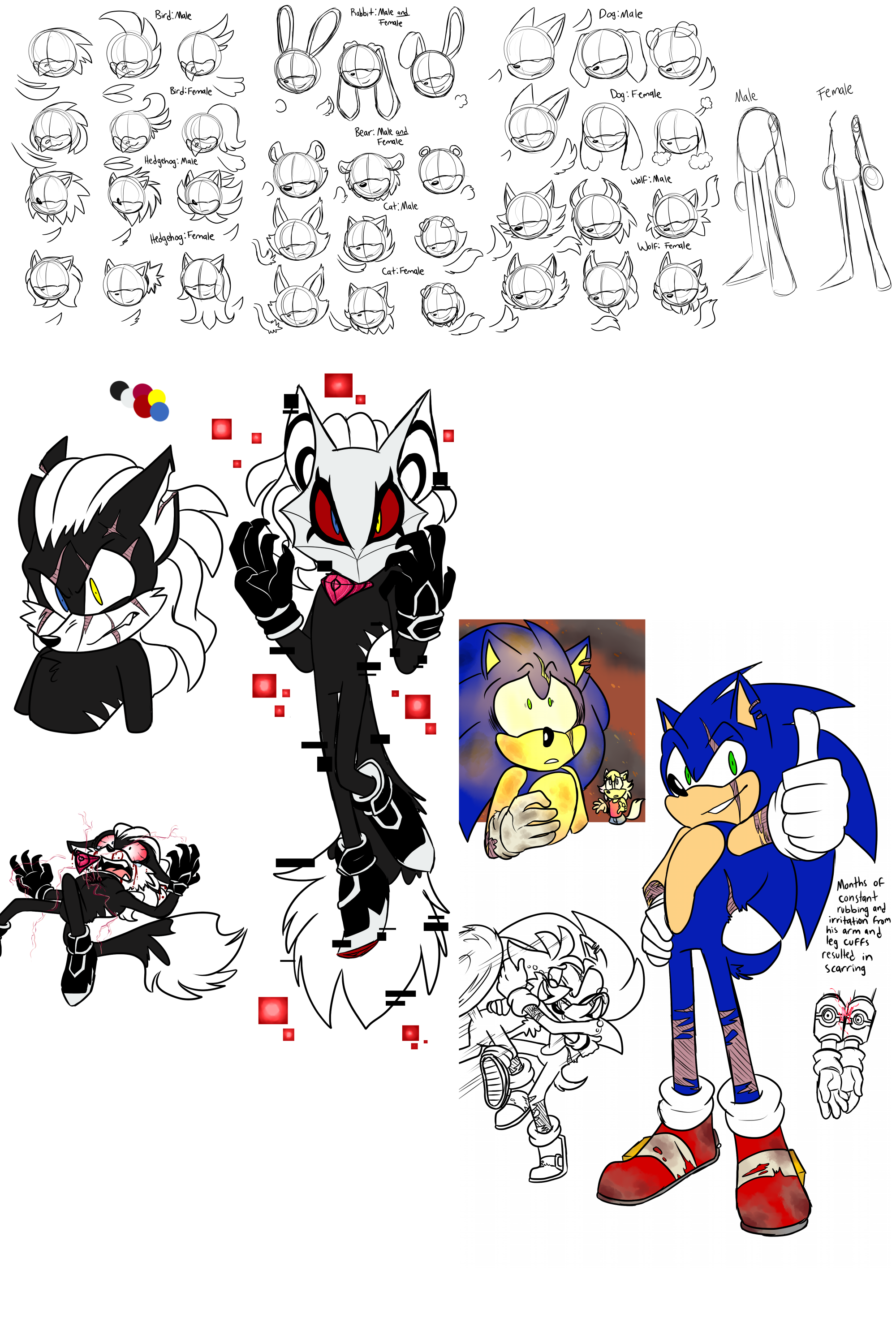 Edit Sonic X Sonic And Shadow My Style by k3llywolfarts on DeviantArt