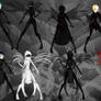 Assanix Transformation
