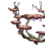 Mushrooms Showcase
