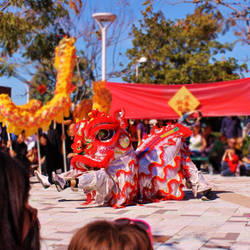 Lion Dance